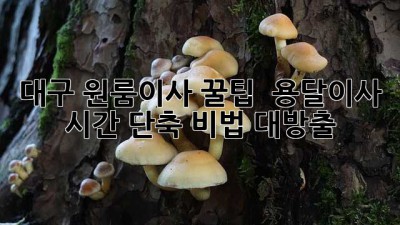 대구 원룸이사 꿀팁🍯 : 용달이사 시간 단축 비법 대방출!